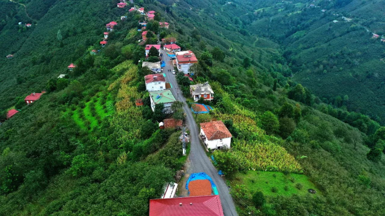 Çaybaşı Nakliyat